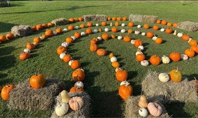 Pumpkin Labyrinth